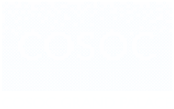 Logo COSOC